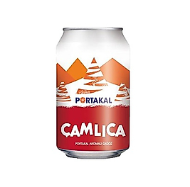 Portakallı Gazoz (330 ml.)